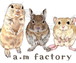 a.m factory